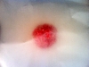 cover with wax paper