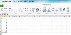 Microsoft Excel Web App