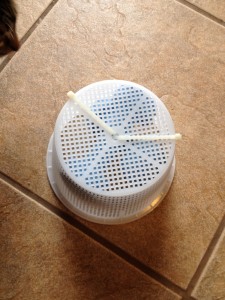 pool strainer with dumbbell weights secured by zip ties