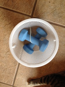 pool strainer with dumbbell weights secured by zip ties