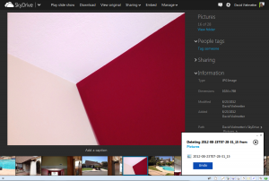 skydrive-slideshow-delete-pictures-using-keyboard-delete-key